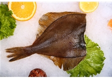 Yellow-fin Sole